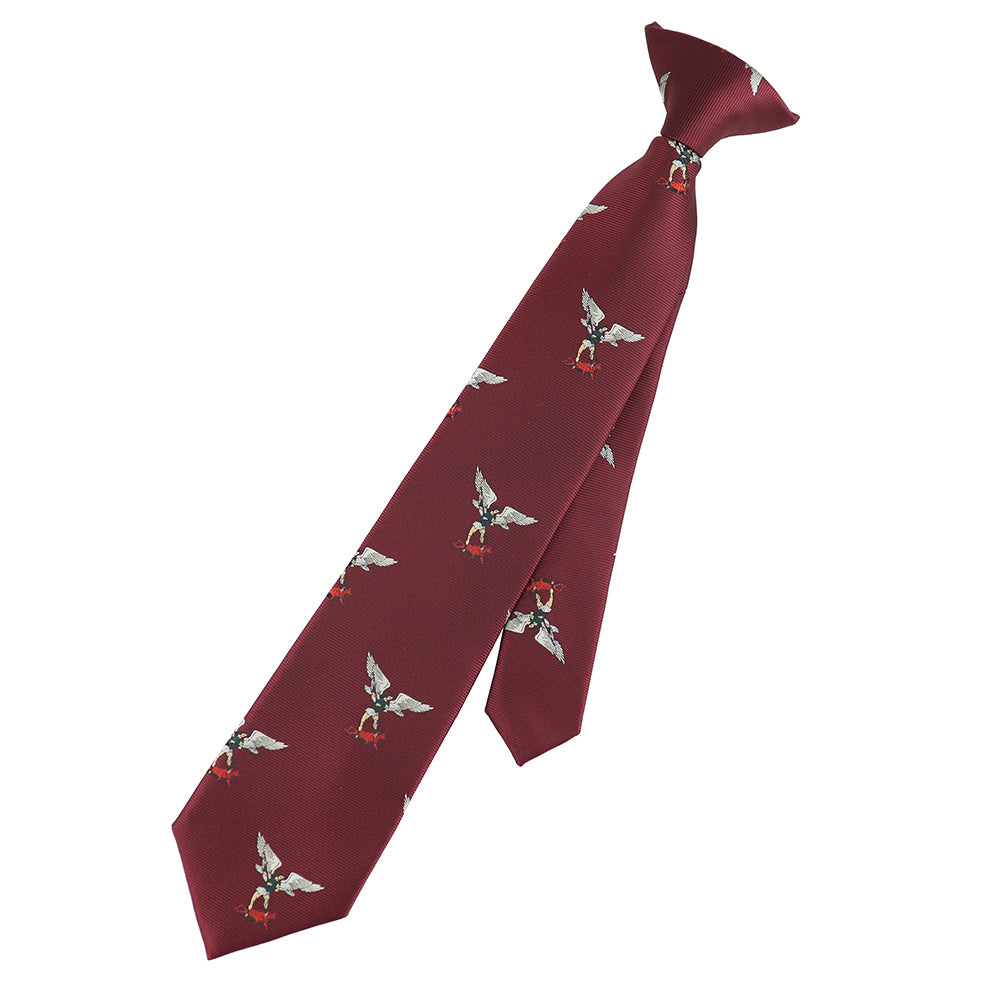 Religious boy’s tie, Agnus Dei motif for spiritual and elegant appearance